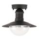 Rábalux , 8716 , Oslo , Outdoor ceiling lights , black , IP44 , E27