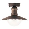 Rábalux , 8736 , Oslo , Outdoor ceiling lights , antique gold , IP44 , E27