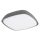 Rábalux , 8797 , Austin , Outdoor ceiling lights , anthracite , IP65 , 4000