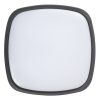 Rábalux , 8797 , Austin , Outdoor ceiling lights , anthracite , IP65 , 4000