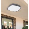 Rábalux , 8797 , Austin , Outdoor ceiling lights , anthracite , IP65 , 4000
