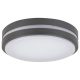 Rábalux , 8847 , Hamburg , Outdoor ceiling lights , anthracite , IP44 , 4000