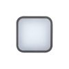 Rábalux , 8850 , Hamburg , Outdoor ceiling lights , anthracite , IP44 , 4000