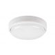 Rábalux , 7406 , Hort , Outdoor wall lights/ Outdoor ceiling lig , white , IP54 , 4000