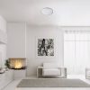 Rábalux , 71127 , Engon , Ceiling lights , silver , IP20 , 4000