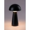 Rábalux , 76007 , Ishtar , Table lamps , matte black , IP44 , 3000