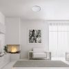 Rábalux , 71131 , Engon , Ceiling lights , silver , IP20 , 4000