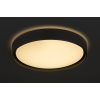 Rábalux , 3146 , Achilles , Ceiling lights , black , IP20 , 2700-6500