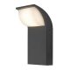 Rábalux , 7166 , Hongkong , Outdoor wall lights , black , IP65 , 4000