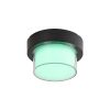 Rábalux , 7246 , Durbe , Outdoor wall lights/ Outdoor ceiling lig , black , IP54 , 3000-6500