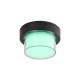 Rábalux , 7246 , Durbe , Outdoor wall lights/ Outdoor ceiling lig , black , IP54 , 3000-6500