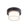 Rábalux , 7246 , Durbe , Outdoor wall lights/ Outdoor ceiling lig , black , IP54 , 3000-6500