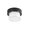 Rábalux , 7246 , Durbe , Outdoor wall lights/ Outdoor ceiling lig , black , IP54 , 3000-6500