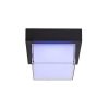 Rábalux , 7247 , Durbe , Outdoor wall lights/ Outdoor ceiling lig , black , IP54 , 3000-6500