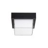 Rábalux , 7247 , Durbe , Outdoor wall lights/ Outdoor ceiling lig , black , IP54 , 3000-6500