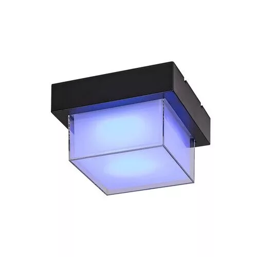 Rábalux , 7247 , Durbe , Outdoor wall lights/ Outdoor ceiling lig , black , IP54 , 3000-6500