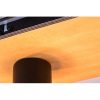 Rábalux , 71023 , Boire , Ceiling lights , black , IP20 , E27