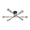 Rábalux , 71026 , Branwen , Ceiling lights , matte black , IP20 , E27