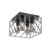 Rábalux , 71027 , Boroo , Ceiling lights , matte black , IP20 , E27