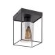 Rábalux , 71031 , Chadwick , Ceiling lights , black , IP20 , E27