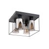 Rábalux , 71034 , Chadwick , Ceiling lights , black , IP20 , E27