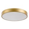 Rábalux , 71037 , Tesia , Ceiling lights , gold , IP20 , 3000