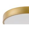 Rábalux , 71037 , Tesia , Ceiling lights , gold , IP20 , 3000