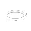 Rábalux , 71037 , Tesia , Ceiling lights , gold , IP20 , 3000