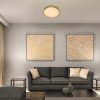 Rábalux , 71037 , Tesia , Ceiling lights , gold , IP20 , 3000