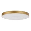 Rábalux , 71038 , Tesia , Ceiling lights , gold , IP20 , 3000-6000