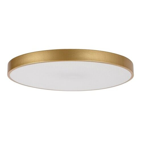 Rábalux , 71038 , Tesia , Ceiling lights , gold , IP20 , 3000-6000