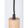 Rábalux , 72131 , Braulia , Pendants , beech , IP20 , GU10
