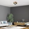 Rábalux , 73124 , Toras , Spotlights , oak , IP20 , GU10
