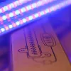 Plant growing LED module set, 3 x 4W, 3 x 42 LEDs, 3 x 30 cm, with USB end, red/blue light, timed, dimmable, LEDISSIMO GROW