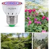 Plant growing LED lamp, bulb, E27, spot, 8W, red/blue light, LEDISSIMO GROW