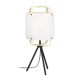 EGLO, 43934, SURFLEET, table lamp, E27, 1X40W, IP20, natural