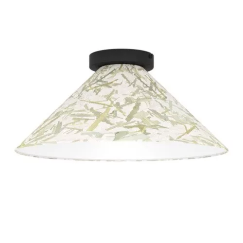 EGLO, 43941, OXPARK, ceiling lamp, E27, 1X25W, IP20, white, green
