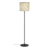 EGLO , 43939 , BUTTERBURN , floor lamp , E27 , 1X25W , IP20 , beige , green