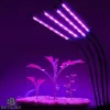 Plant growing LED lamp, 4 arms, 15 Watt, USB, pinchable, dimmable, timeable, IP44
