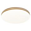 Rábalux , 71173 , Oscar2 , Ceiling lights , white , IP20 , 4000