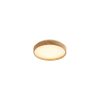 Rábalux , 71143 , Leana2 , Ceiling lights , beech , IP20 , 3000