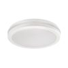 Rábalux , 77036 , Indre , Outdoor ceiling lights , white , IP54 , 3000, 4000, 6500