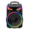 PORTABLE PARTY BLUETOOTH SPEAKER 1X15INCH