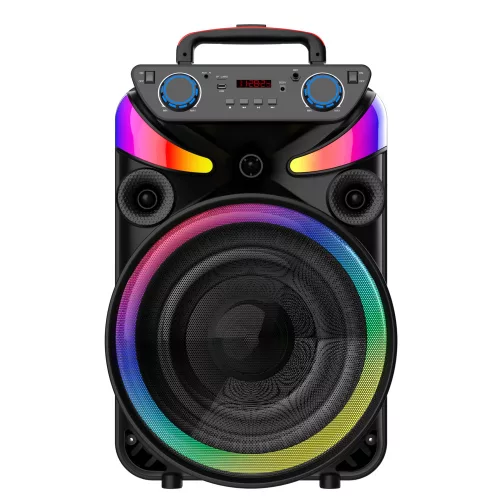 PORTABLE PARTY BLUETOOTH SPEAKER 1X15INCH
