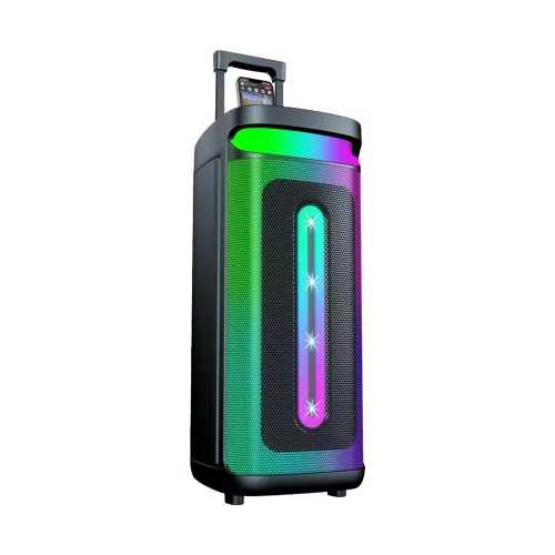 PORTABLE PARTY BLUETOOTH SPEAKER 2X8INCH
