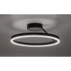 Rábalux , 71302 , Isaure , Ceiling lights , black , IP20 , 3000, 4000, 6500