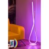 Modern Floor Lamp with Remote, 16 Colors, 120 cm