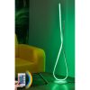 Modern Floor Lamp with Remote, 16 Colors, 120 cm
