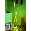 Modern Floor Lamp with Remote, 16 Colors, 120 cm