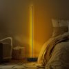 Elegant Black Floor Lamp, 153 cm Height | Metal Body, LED 36W